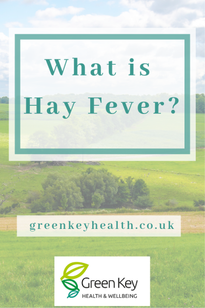 What's in the hedgerow may cause hay fever, but it can also treat it. Learn 3 different natural remedies for hay fever here. #hayfever #naturesmedicine