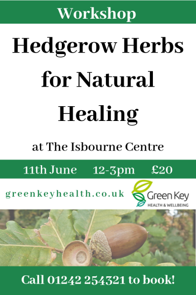 Looking for natural remedies that you can make yourself? Join us for this 3 hour long workshop and increase your knowledge of healing herbs you can use to treat common ailments like the cold and flu. You'll even learn to make your own healing teas from herbs found in the hedgerow. #naturalremedies #herbs #tea