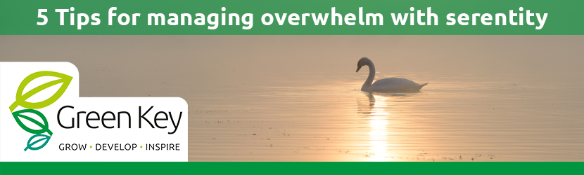 5 tips for managing overwhelm with serentity