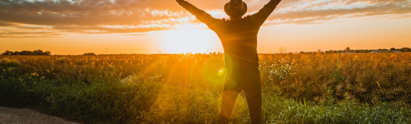 The Power of Manifestation