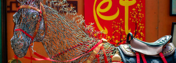 Leadership in the Chinese New Year 
