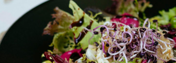 Bitter Herbs to Relieve Digestion 