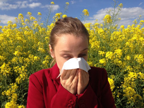 Hay Fever Natural Cure 