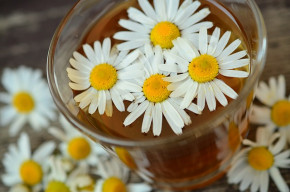 Chamomile infusion to aid a restful sleep and ease digestive problems