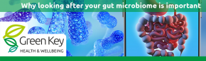 Why looking after your gut microbiome is so important for your health