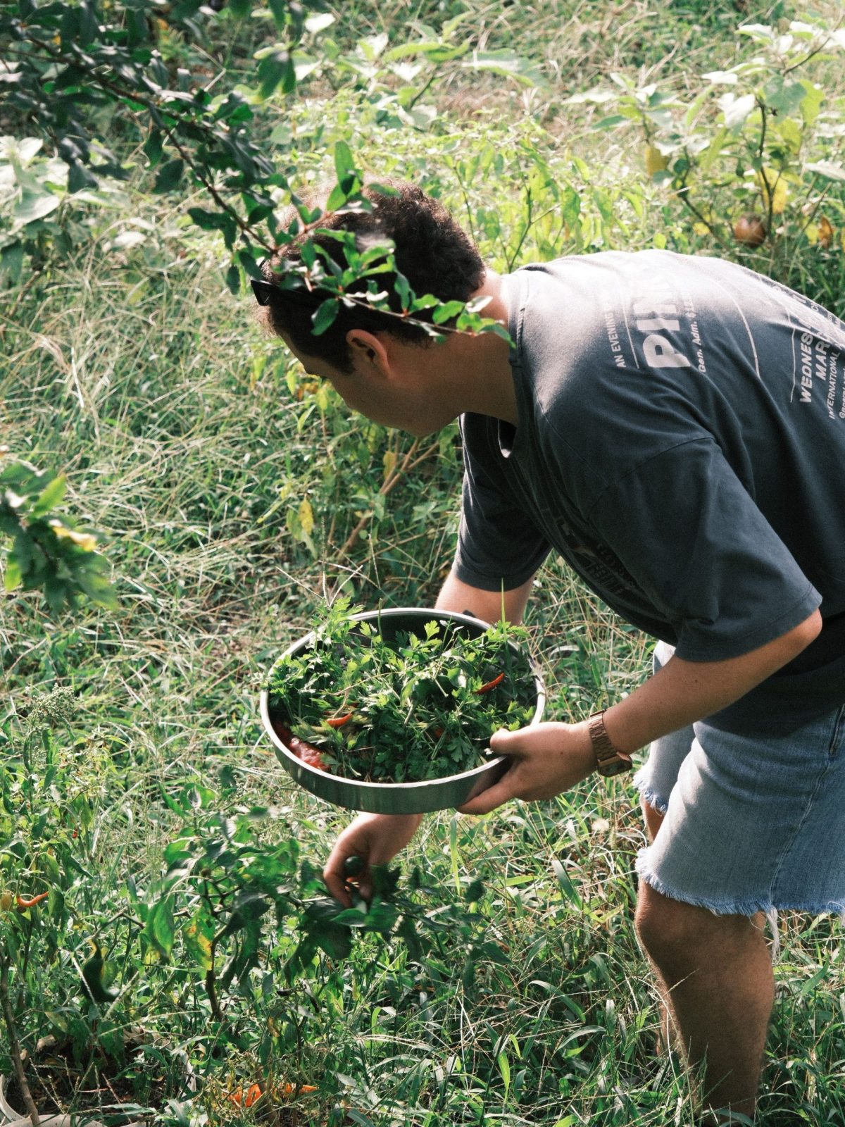 Hedgerow foraging